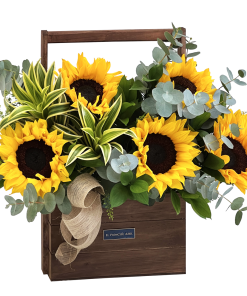 girasoles para regalar