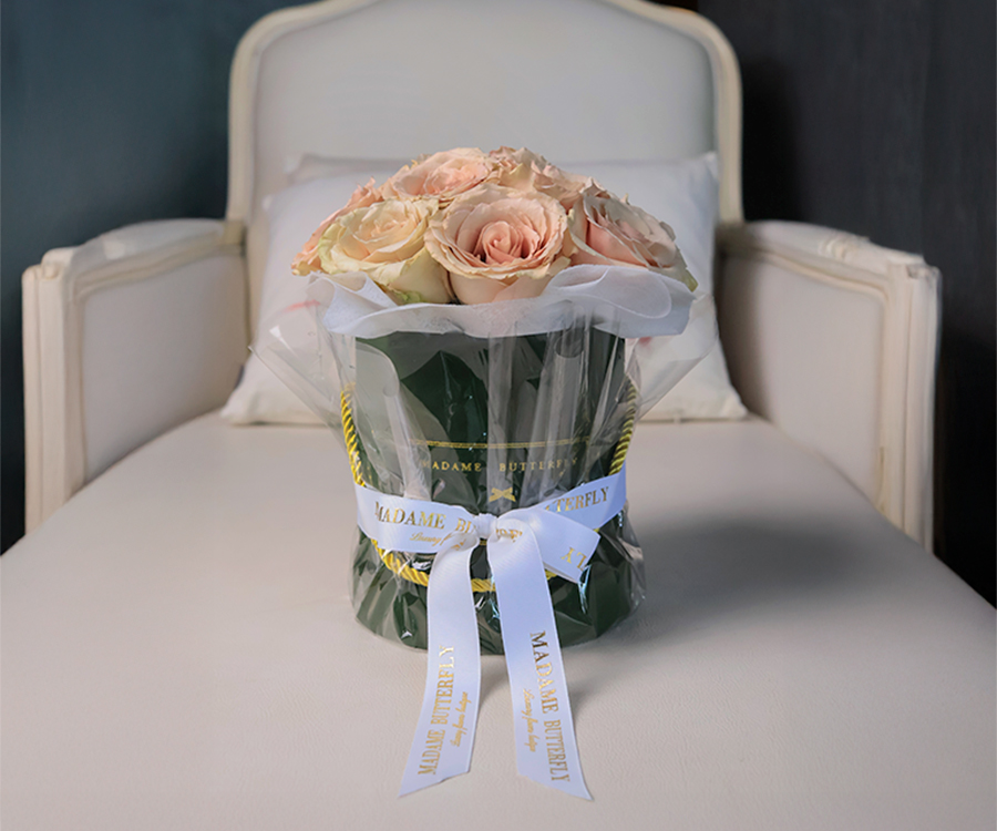 Arreglos personalizados