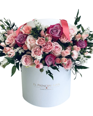 DELUXE WHITE BOX MEDIUM BERET