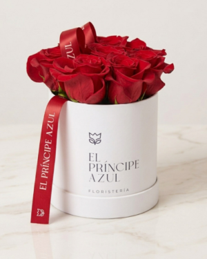 DELUXE WHITE BOX SMALL