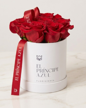 DELUXE WHITE BOX SMALL