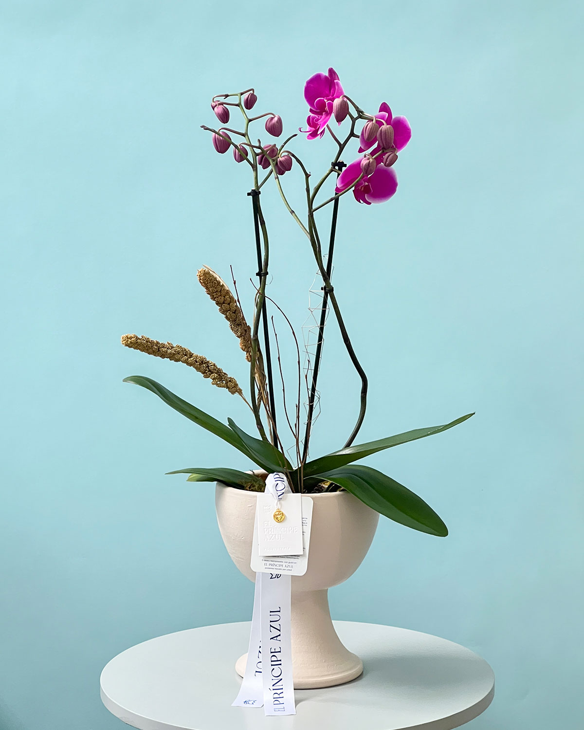 ORQUÍDEA REAL