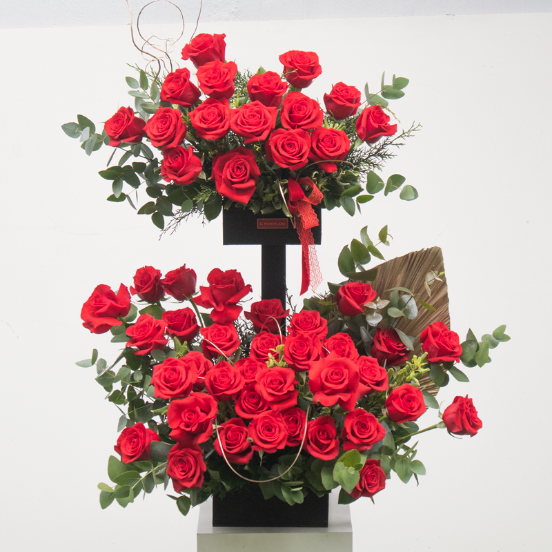 QUEEN 50 ROSAS ROJAS