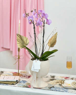 ORQUÍDEA PERLITE es un arreglo de orquídea en base artesanal, con detalles dorados y perlas, que rinde homenaje a mamá con elegancia, equilibrio y sofisticación eterna.