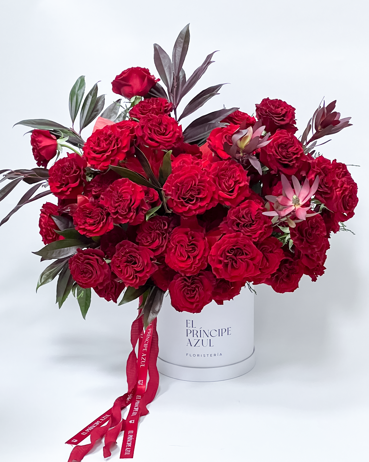 GRAZIA es una declaración profunda, serena y eterna. Un arreglo grande de rosas rojas para San Valentín que habla cuando las palabras no bastan. Cada rosa expresa devoción, promesa y ternura, dispuesta en una caja redonda deluxe que envuelve el amor con armonía y nobleza. Este diseño celebra los vínculos destinados a encontrarse, los amores que se reconocen sin explicación y las historias que florecen con el tiempo.