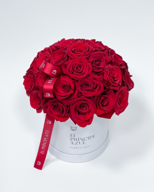 SEMPRE celebra el amor que no duda ni se dispersa. Rosas rojas intensas, resguardadas en una caja deluxe, sellan una promesa nacida para permanecer. Un gesto noble, creado para quienes saben que el verdadero amor se reconoce.