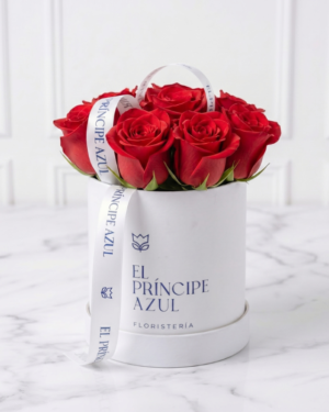 DELUXE WHITE BOX SMALL